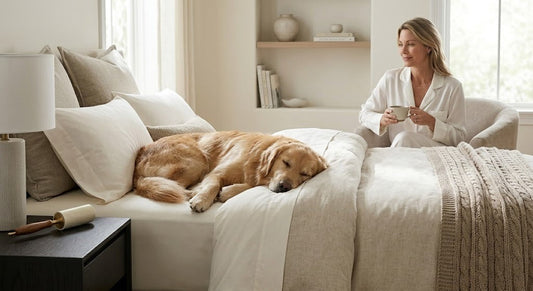 best sheets for dog owners