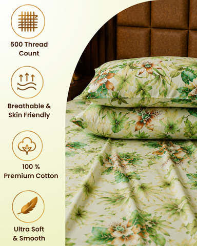 Grandeur | King Size Bedsheet | Jade Green | 500 TC | 100% Cotton | 2 Pillow Covers