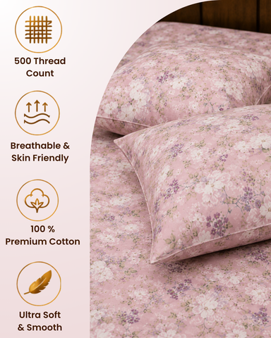 Imperial | King Size Bedsheet | Blush Pink | 500 TC | 100% Cotton | 2 Pillow Covers